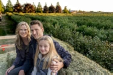 Love Struck Café 2017