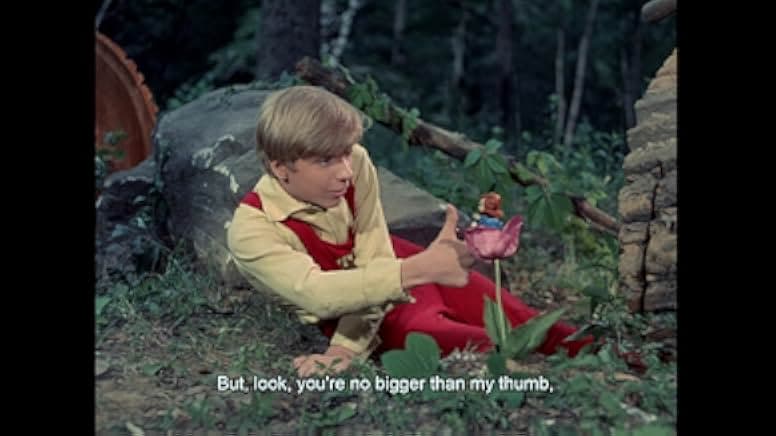The Daydreamer 1966