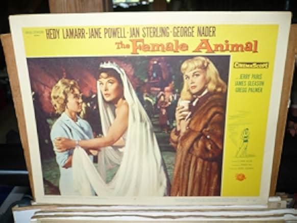 The Female Animal 1958