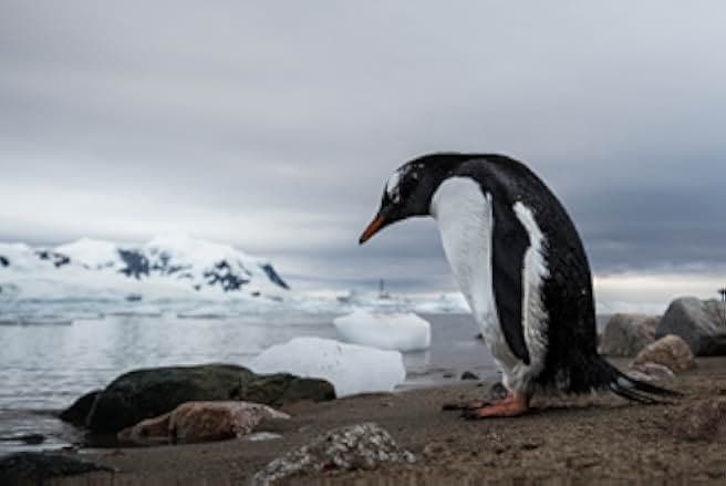 The Map to Paradise 2019