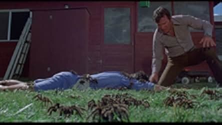 Kingdom of the Spiders 1977