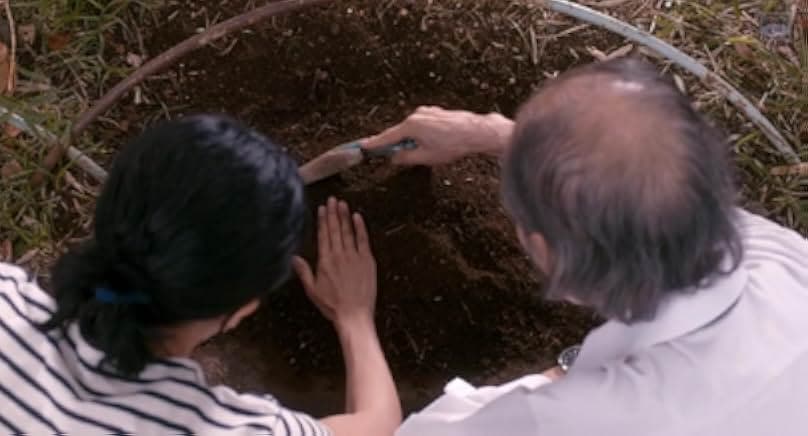 Ie ni kaeru to tsuma ga kanarazu shinda furi o shite imasu. 2018