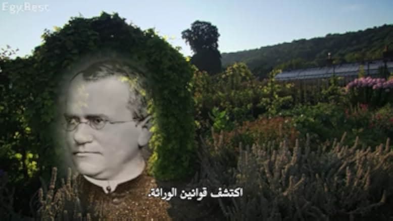 Charles Darwin and the Tree of Life 2009