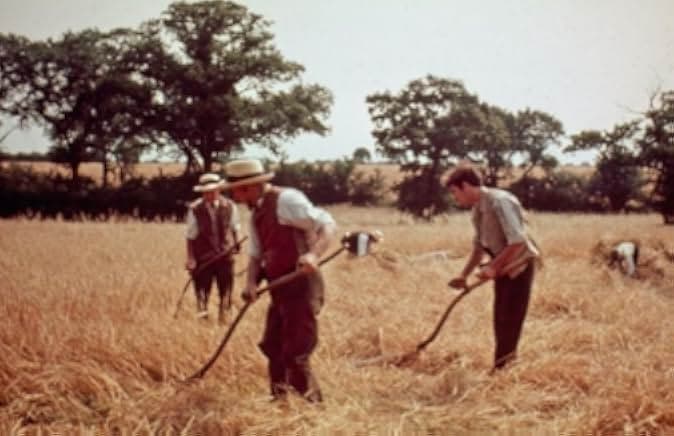 Akenfield 1974