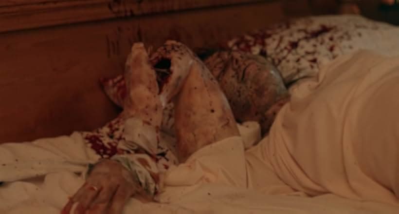 American Guinea Pig: The Song of Solomon 2017