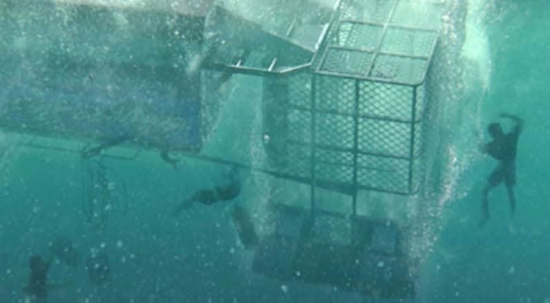 Open Water 3: Cage Dive 2017
