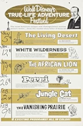 The African Lion 1955