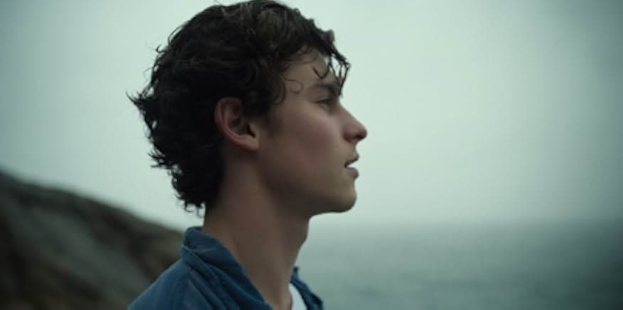 Shawn Mendes: In Wonder 2020