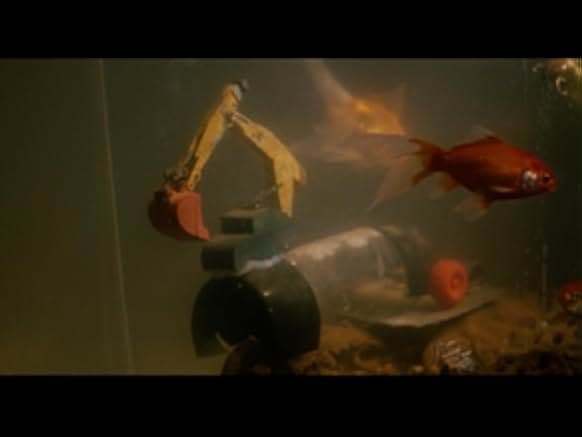 The Quest 1985