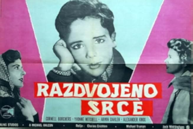 The Divided Heart 1954