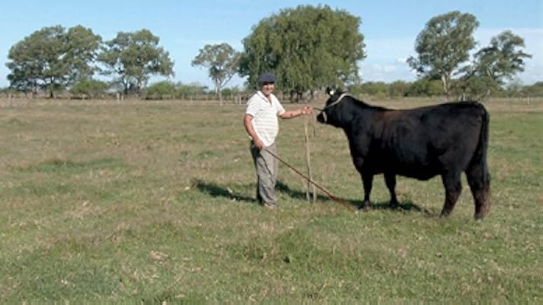 Todo sobre el asado 2016