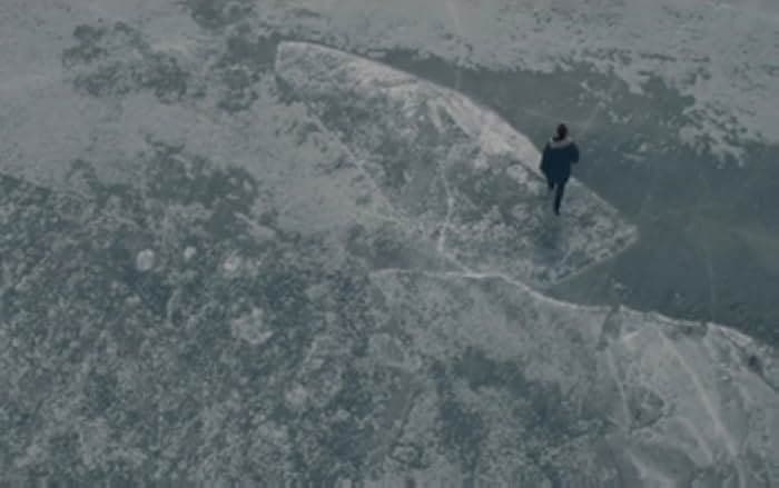 In the Forests of Siberia 2016