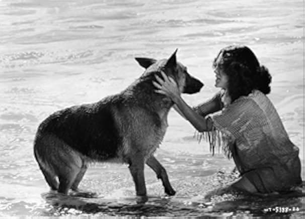 Won Ton Ton: The Dog Who Saved Hollywood 1976