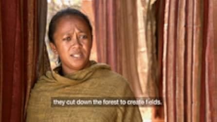 Madagascar 2011