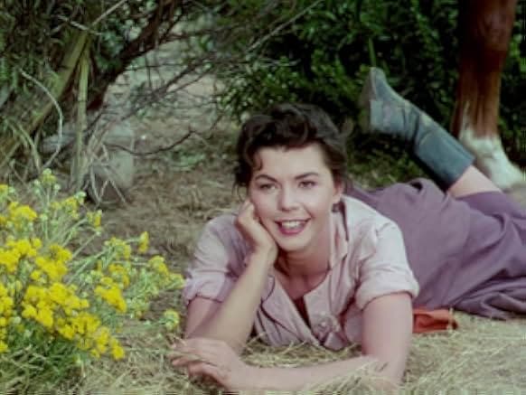 Four Guns to the Border 1954