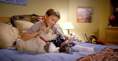 A Belle for Christmas 2014