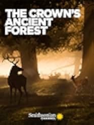 The Crown's Ancient Forest 2021