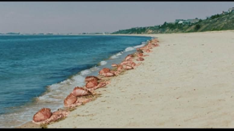 The Beach House 2019