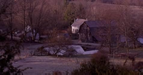 Peter and the Farm 2016