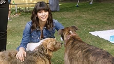 Dog Days 2018