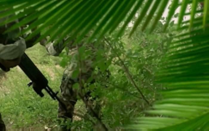 Jurassic Thunder 2019