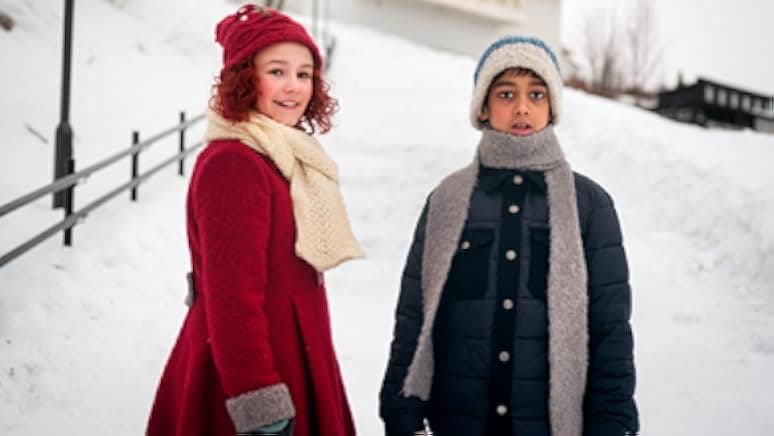 The Snow Sister 2024