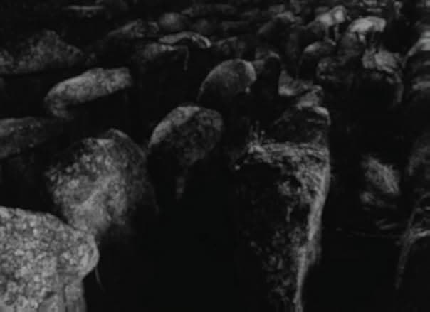 This Transient Life 1970