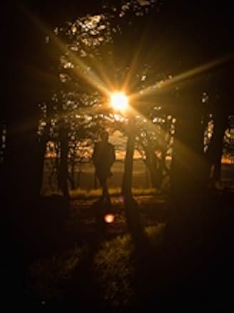 Voyage Into the Night 2021