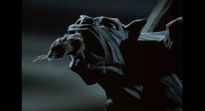 The Pied Piper 1986