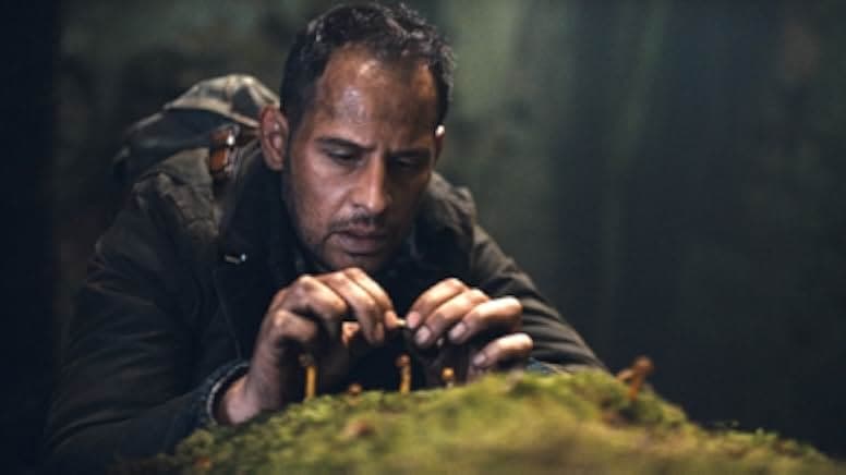 The Dark Side of the Moon 2015