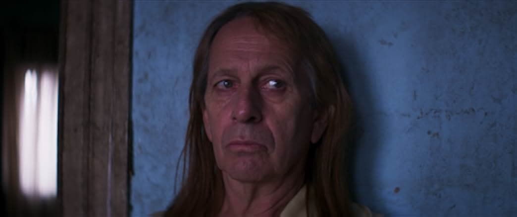 My Tender Matador 2020