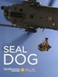SEAL Dog 2015