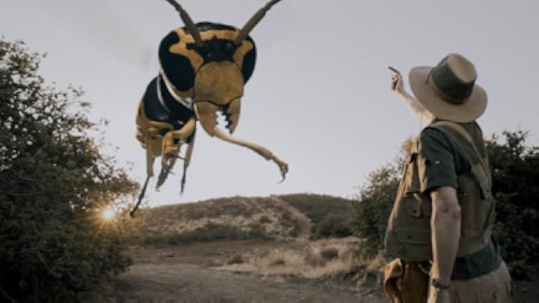 Big Bad Bugs 2012