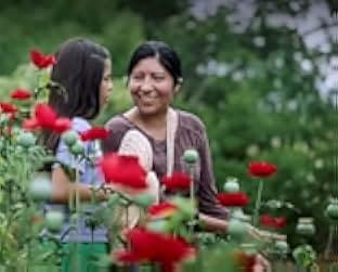 Prayers for the Stolen 2021