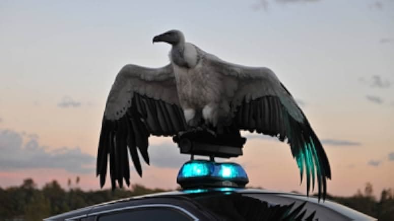 River of Fundament 2014