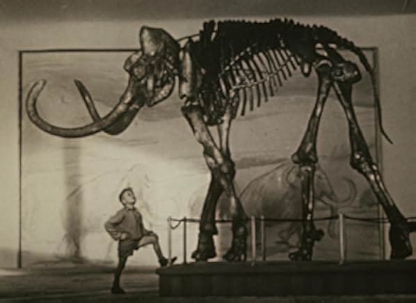 A Journey to the Beginning of Time 1955