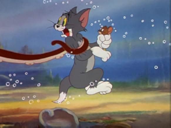 The Cat and the Mermouse 1949