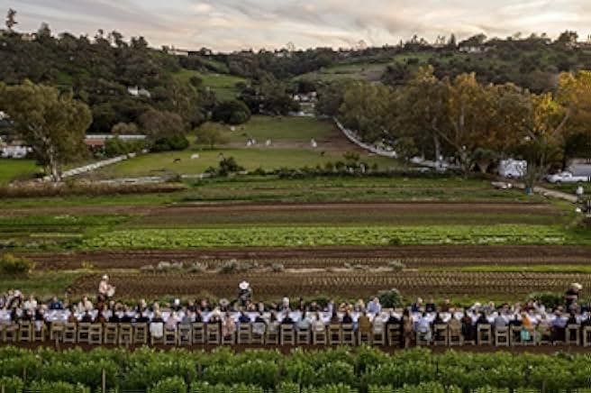 Man in the Field: The Life and Art of Jim Denevan 2021