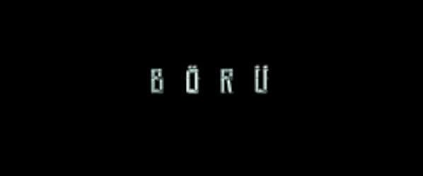 Börü 2018