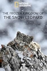 The Frozen Kingdom of the Snow Leopard 2020