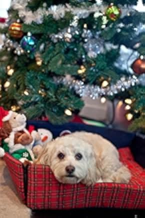 12 Wishes of Christmas 2011