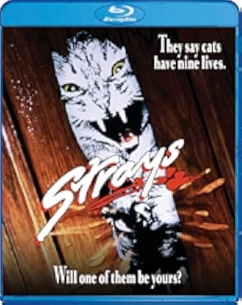 Strays 1991