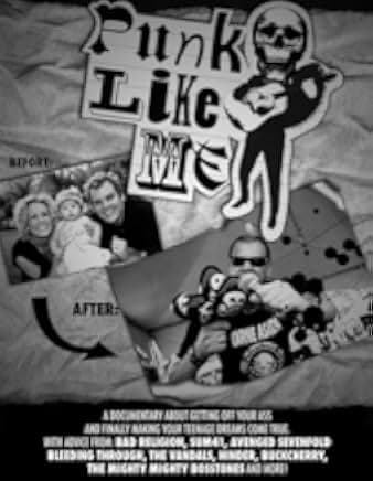 Punk Like Me 2006