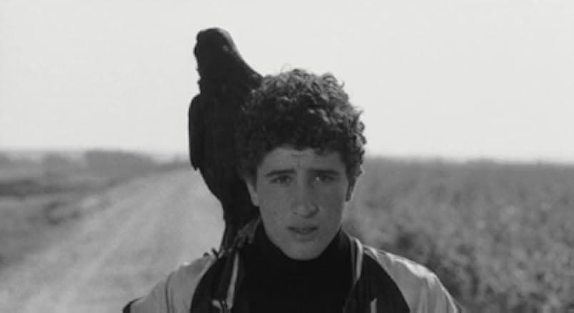 The Hawks and the Sparrows 1969