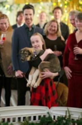 My Christmas Guide 2023