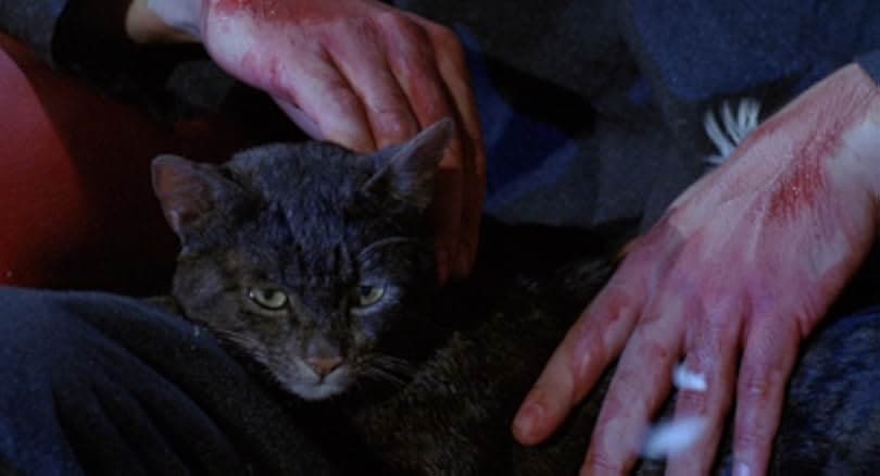 StageFright 1987