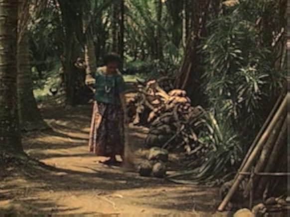 Perfumed Nightmare 1977