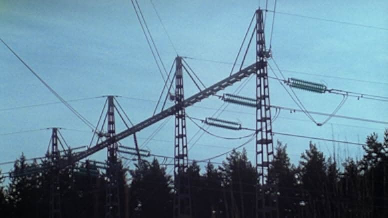 Electric Malady 2023