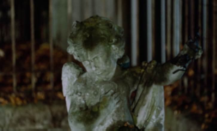 The Iron Rose 1973