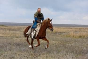 The last warrior 2018